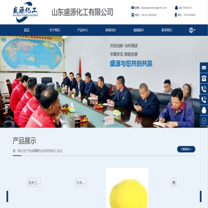 山东盛源化工有限公司