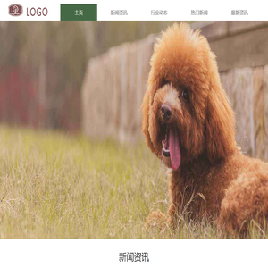 新风景宠物网