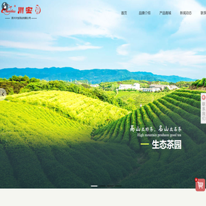 四川川宝茶业有限公司