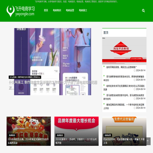 飞升电商学习网