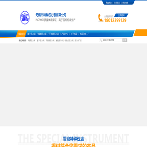 无锡市特种压力表有限公司愿景