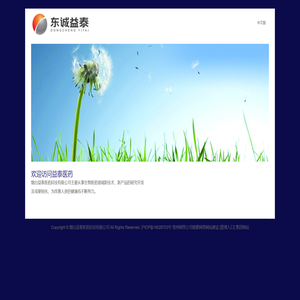 烟台益泰医药科技有限公司