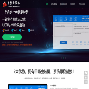 甲壳虫装机大师