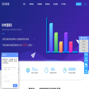 SEO搜索引擎快速排名