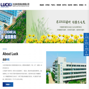 大连来克精化有限公司