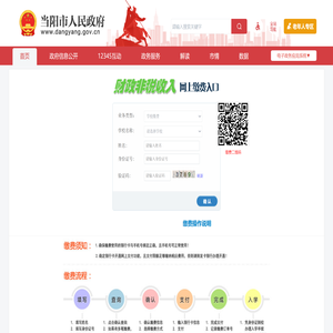 网上支付