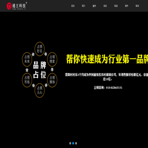 SEO·品牌推广·网络营销策划·王通