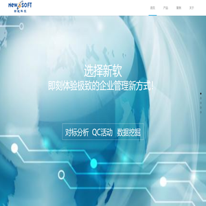 山东新软
