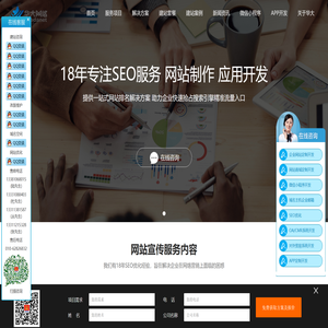 北京网站优化