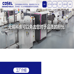 无锡科索电子有限公司