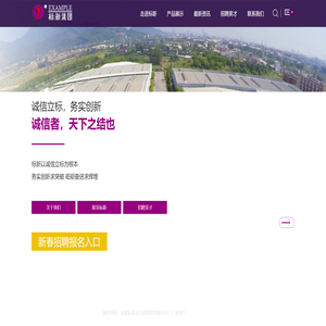 福建标新易开盖集团有限公司