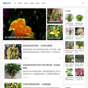 笔墨纯花卉网