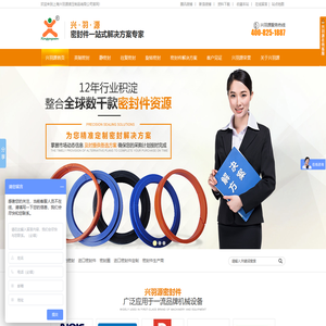 密封件,密封圈,静密封,动密封,进口密封件,液压密封圈