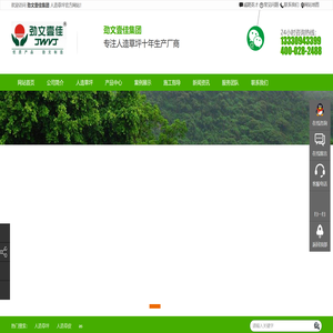 成都人造草坪,四川人造草皮,人造草坪厂家