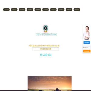 晶点宠物美容培训学校