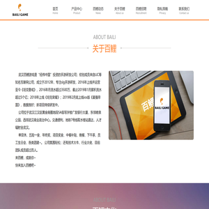 武汉百鲤网络技术有限公司