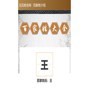 王氏姓名网
