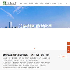 中能国际