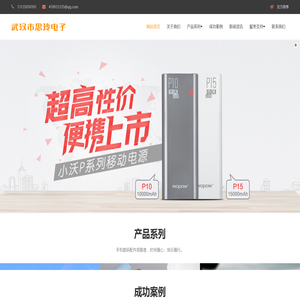 武汉市思玲电子
