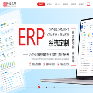 公司REP系统开发定制