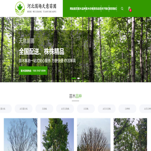 河北围场天意苗木基地