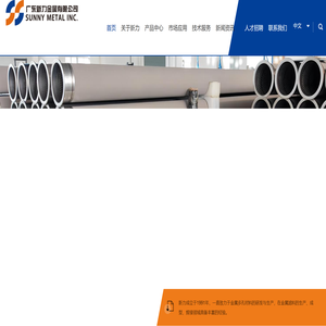 广东新力新材料有限公司