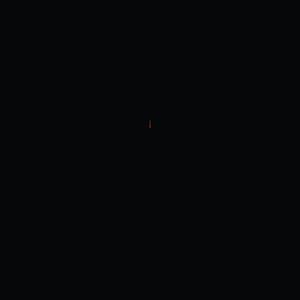 官方网站