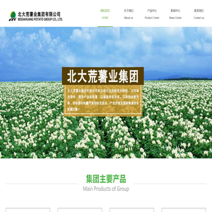 北大荒薯业集团有限公司