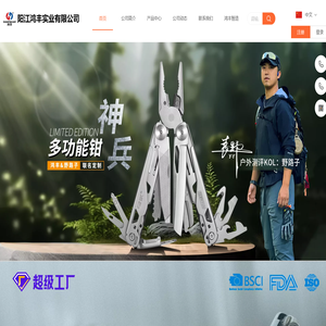 阳江鸿丰实业有限公司