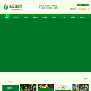 首页