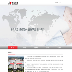 顿力集团有限公司