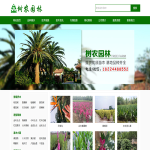 绿化苗木
