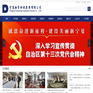 宁夏融资担保集团有限公司