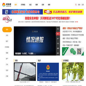 临沂河东网