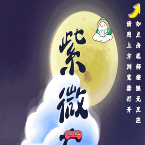 紫微大师