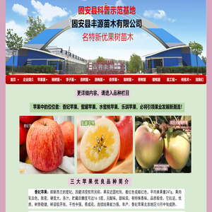 我公司果树苗木基地致力推广名特新优果树苗木