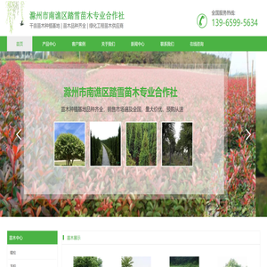 滁州市南谯区踏雪苗木专业合作社