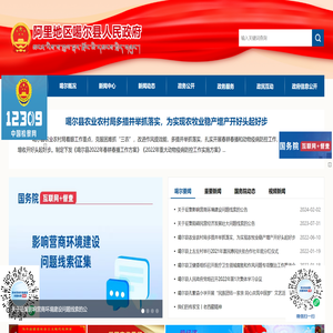 阿里地区噶尔县人民政府网站