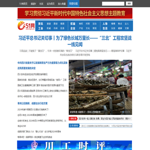 51网