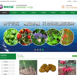 多花不倒苗黄精苗