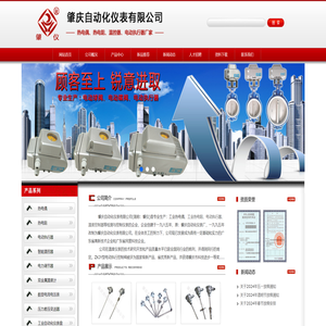 肇庆自动化仪表有限公司