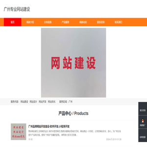 广州专业网站建设