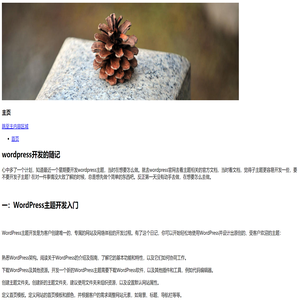 wordpress开发的随记
