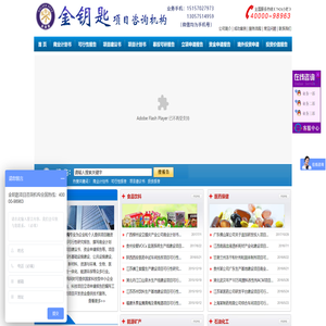 代写可行性报告