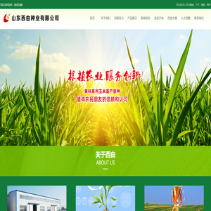 莱州市西由种业有限公司