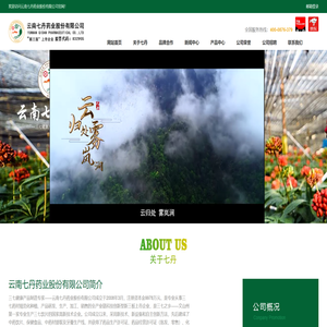 欢迎访问云南七丹药业股份有限公司官网！