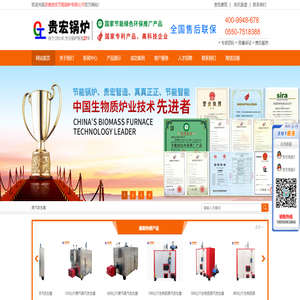 专注蒸汽发生器