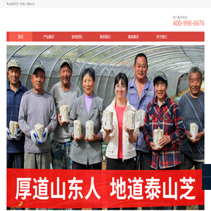 泰山赤灵芝孢子粉