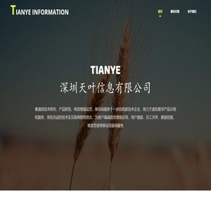 深圳天叶信息有限公司