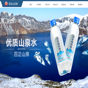 广西百正商业服务有限公司